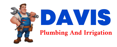 Trusted plumber in ZANONI